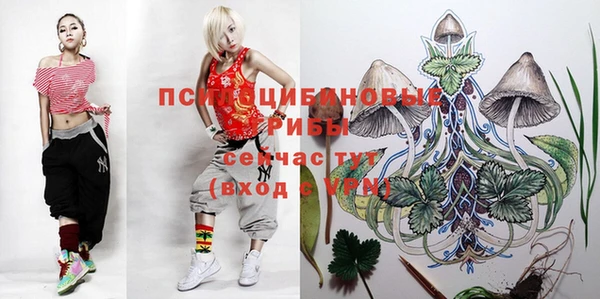 метадон Аркадак