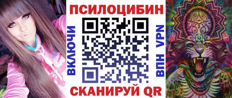 Псилоцибиновые грибы Psilocybine cubensis Тайга