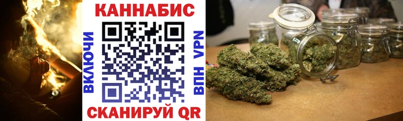 как найти наркотики  Тайга  kraken ТОР  Каннабис сатива 
